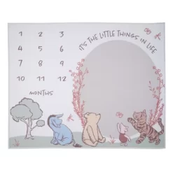 Lambs & Ivy Pooh Bear And Pals Photo Opportunity Milestone Fleece Baby Blanket -Lambs & Ivy GUEST d971bf7e 556f 471b b75e 565805ac358d