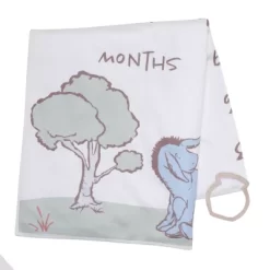 Lambs & Ivy Pooh Bear And Pals Photo Opportunity Milestone Fleece Baby Blanket -Lambs & Ivy GUEST f3497ecf 5b05 4302 874f e06952a684ed