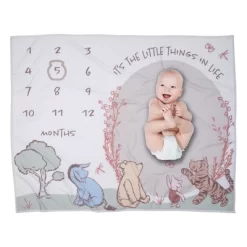 Lambs & Ivy Pooh Bear And Pals Photo Opportunity Milestone Fleece Baby Blanket -Lambs & Ivy GUEST fd0e6a08 bd9a 43ee 90ff 2e41d6e7350b